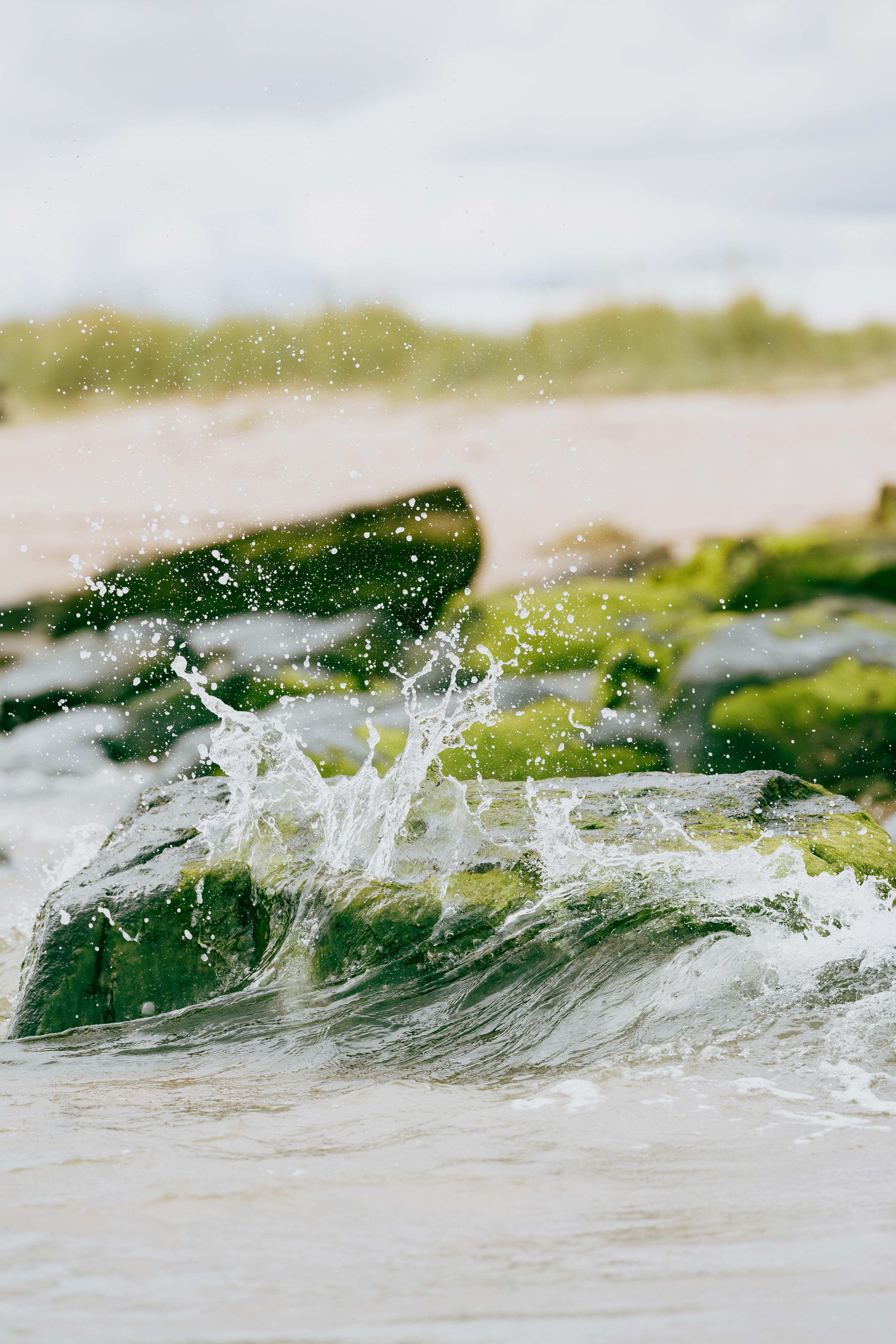 Dornoch Station Otel Dış mekan fotoğraf Seaweed
